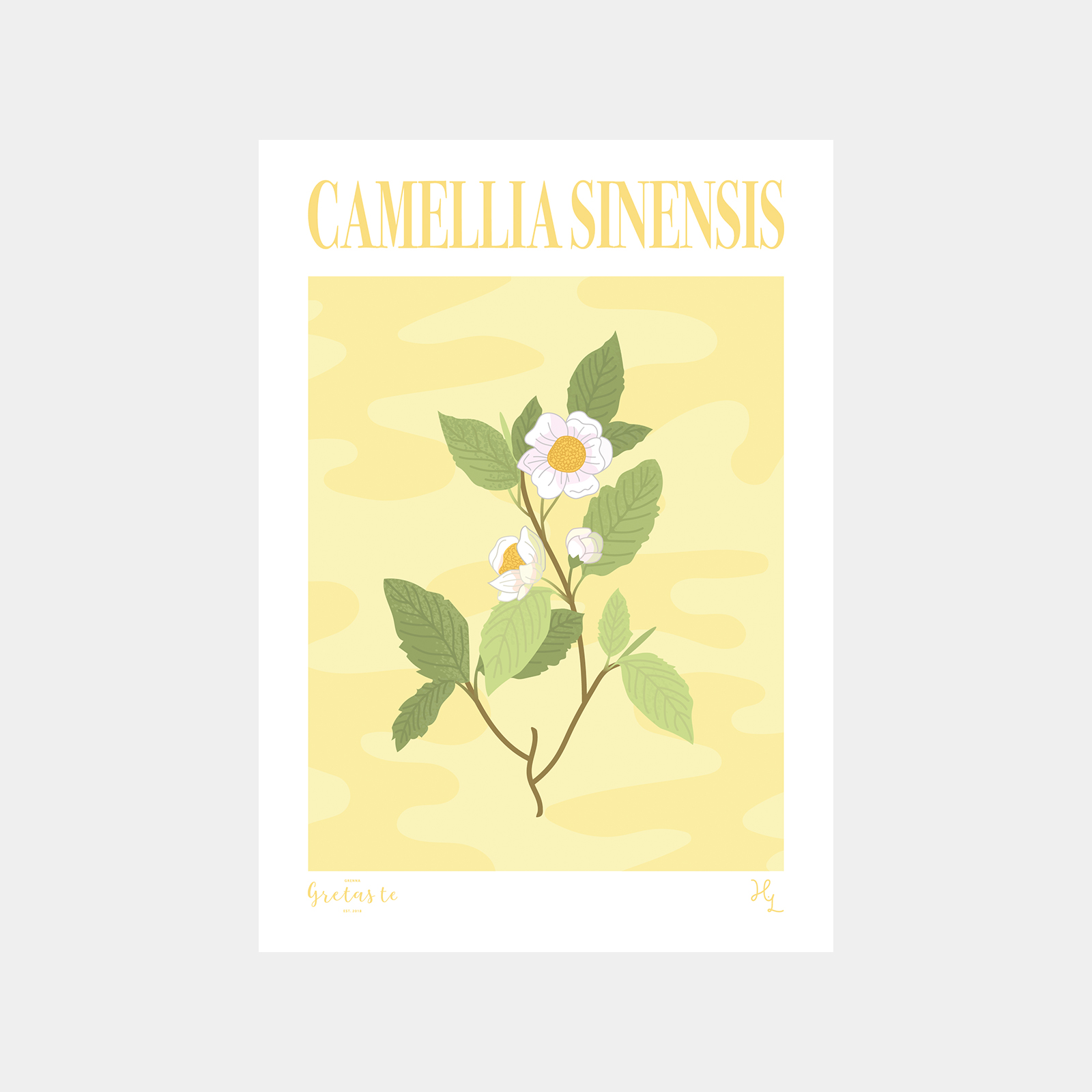 poster-camellia-sinensis.jpg